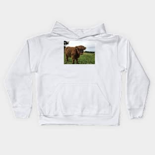 Scottish Highland Cattle Calf 1525 Kids Hoodie